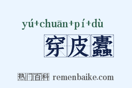 杅穿皮蠹是什么意思的图片